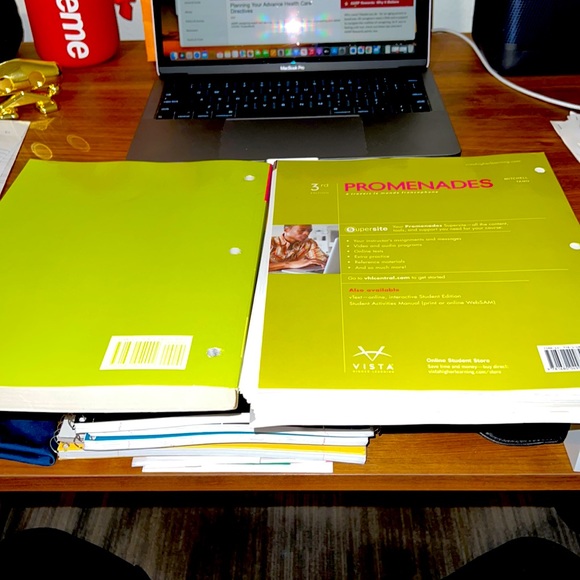 Promenade 3rd edition French textbook and student activities manual. - Picture 2 of 4